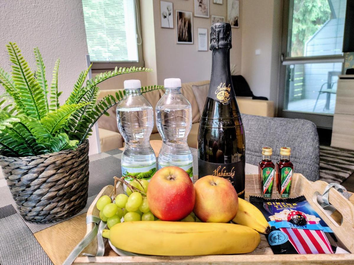 Relax Harrachov Apartments - Free Wellness Grotta Spa Εξωτερικό φωτογραφία